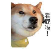 744615079