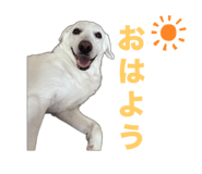 744623081