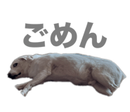 744623090