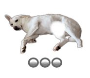 744623093