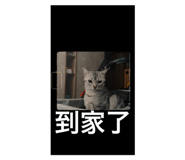 744631482