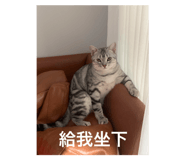 744631489