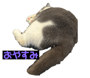 744646169