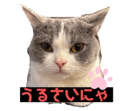744646171