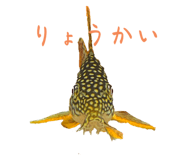 744647890