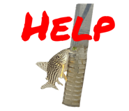 744647892