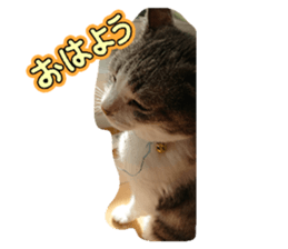 744660232