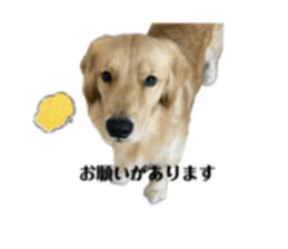 744667046