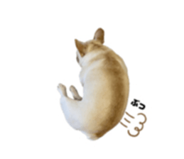744667054
