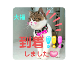 744687349