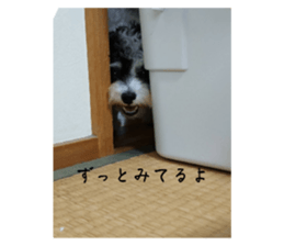 744687684