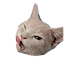 744691414