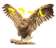 744692833