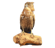 744692838