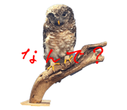 744692839