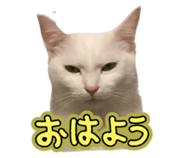 744694010