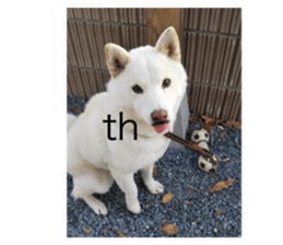 744707914