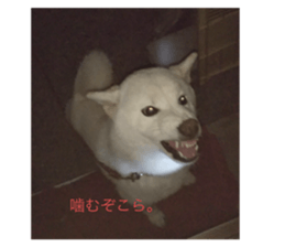 744707915