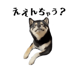 744729298