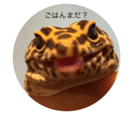 744735849