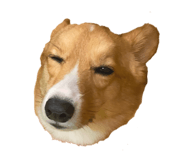 744742177