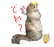 744743231