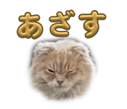 744743237