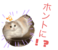 744743240