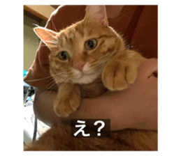 744743286