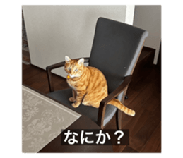 744743293