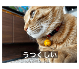 744743295