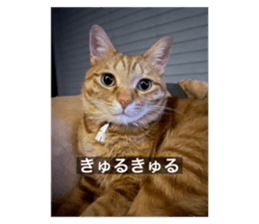 744743311