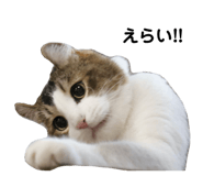 744748516