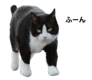 744748522