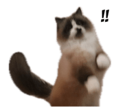 744748525