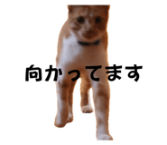 744748530