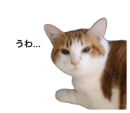 744748537