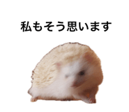 744748542