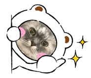 744759529