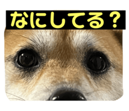 744765867
