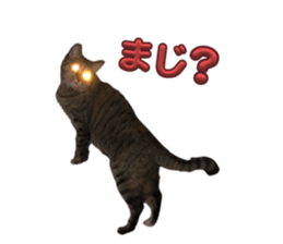 744766305