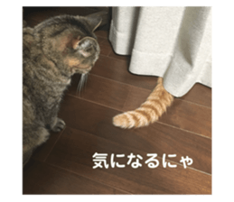 744772856