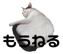 744777878