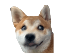 744799983