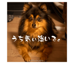 744802724