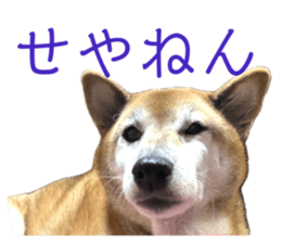 744805313
