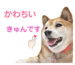 744805315
