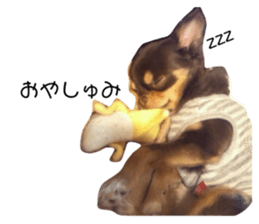 744806994