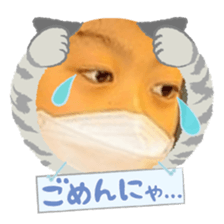 744810534