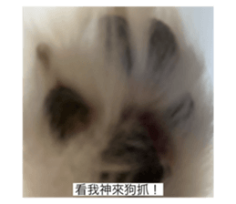 744810547